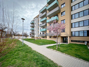 vchod do domu - Prodej bytu 3+kk v osobním vlastnictví 67 m², České Budějovice