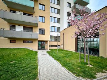 vchod do domu - Prodej bytu 3+kk v osobním vlastnictví 67 m², České Budějovice