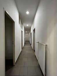 Pronájem bytu 1+kk v osobním vlastnictví 15 m², Plzeň