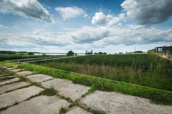 Prodej pozemku 801 m², Vitice