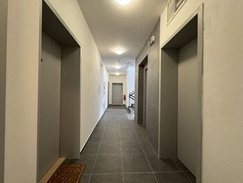 Pronájem bytu 1+kk v osobním vlastnictví 38 m², Dobřany