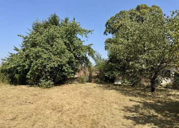Prodej chaty / chalupy 105 m², Neustupov