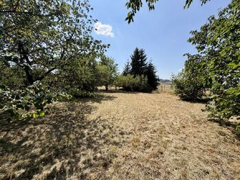 Prodej chaty / chalupy 105 m², Neustupov