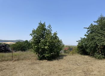 Prodej chaty / chalupy 105 m², Neustupov