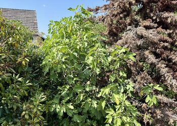 Prodej chaty / chalupy 105 m², Neustupov
