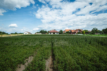 Prodej pozemku 800 m², Vitice