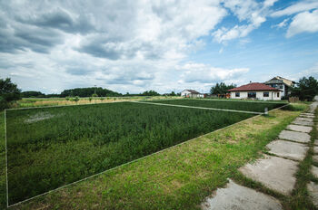 Prodej pozemku 800 m², Vitice