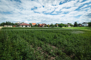 Prodej pozemku 800 m², Vitice