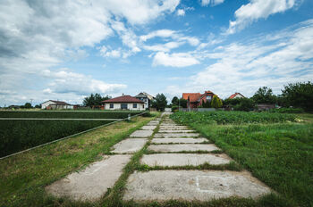 Prodej pozemku 800 m², Vitice
