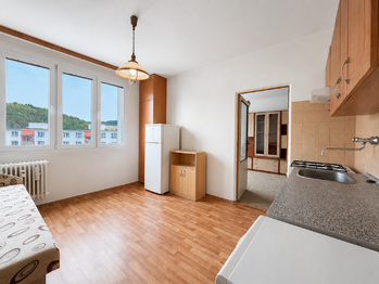 Prodej bytu 1+1 v osobním vlastnictví 39 m², Sušice