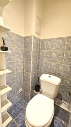 Prodej bytu 1+kk v osobním vlastnictví 33 m², Praha 10 - Vršovice