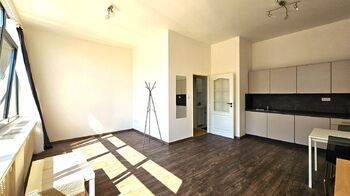 Prodej bytu 1+kk v osobním vlastnictví 33 m², Praha 10 - Vršovice