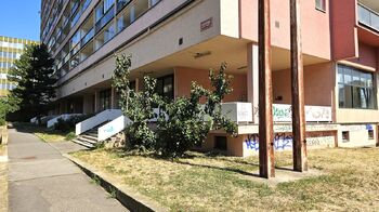 Prodej bytu 1+kk v osobním vlastnictví 33 m², Praha 10 - Vršovice