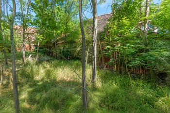 Areál - Prodej pozemku 9047 m², Soutice