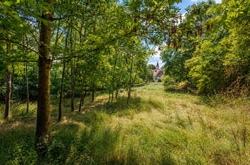 Pohled k zámku v areálu - Prodej pozemku 9047 m², Soutice