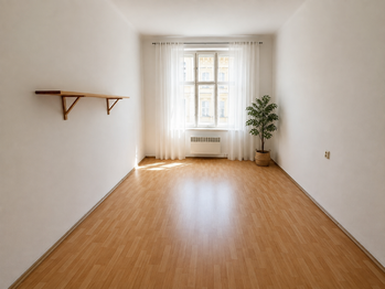 Pronájem bytu 1+1 v osobním vlastnictví 50 m², Praha 1 - Nové Město