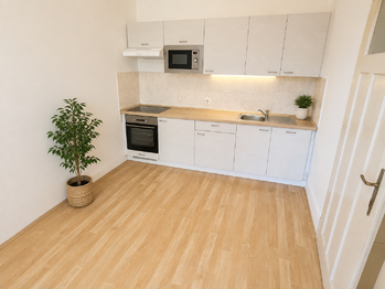 Pronájem bytu 1+1 v osobním vlastnictví 50 m², Praha 1 - Nové Město