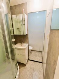 Pronájem bytu 1+1 v družstevním vlastnictví 32 m², Olomouc