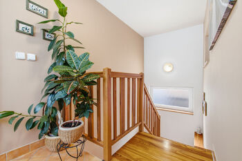 Pronájem bytu 2+kk v osobním vlastnictví 71 m², Plzeň