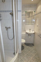 Pronájem bytu 1+1 v osobním vlastnictví 40 m², České Budějovice