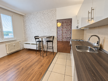 Obývací pokoj - Pronájem bytu 1+1 v osobním vlastnictví 35 m², Žatec