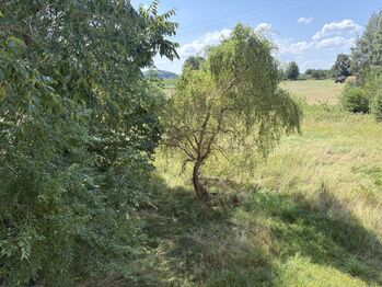 Pohled z okna - Prodej domu 200 m², Františkovy Lázně