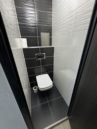 Pronájem bytu 1+1 v osobním vlastnictví 39 m², Plzeň