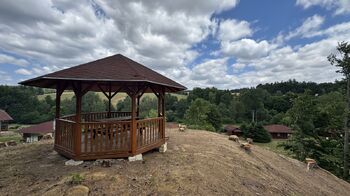 Prodej pozemku 1660 m², Borušov
