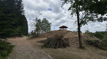 Prodej pozemku 1660 m², Borušov