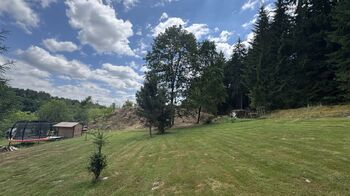 Prodej pozemku 1660 m², Borušov