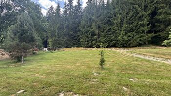 Prodej pozemku 1660 m², Borušov