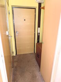 Prodej bytu 1+1 v osobním vlastnictví 41 m², Ostrov