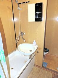Prodej bytu 1+1 v osobním vlastnictví 41 m², Ostrov