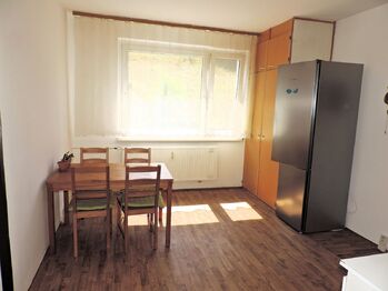 Prodej bytu 1+1 v osobním vlastnictví 41 m², Ostrov
