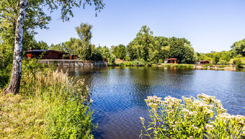 Pohled na dům a chatky - Prodej pozemku 36170 m², Dřetovice