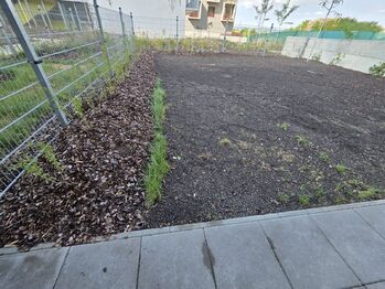 Pronájem bytu 2+kk v osobním vlastnictví 49 m², Brno