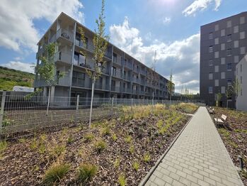 Pronájem bytu 2+kk v osobním vlastnictví 49 m², Brno