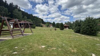 Prodej pozemku 1048 m², Borušov