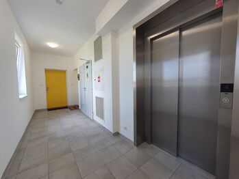 Pronájem bytu 2+kk v osobním vlastnictví 60 m², Brno