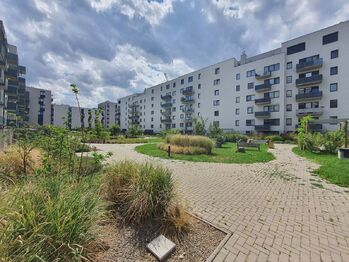 Pronájem bytu 2+kk v osobním vlastnictví 60 m², Brno