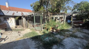 Prodej domu 130 m², Podivín