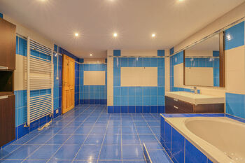 Prodej domu 323 m², Bochov