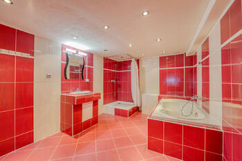 Prodej domu 323 m², Bochov