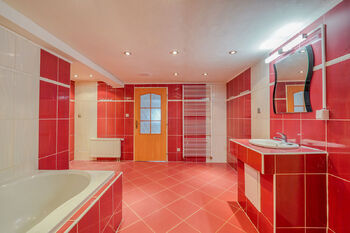 Prodej domu 323 m², Bochov