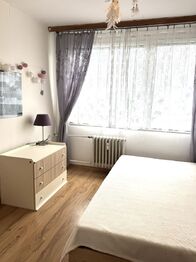 Prodej bytu 3+kk v družstevním vlastnictví 72 m², Mělník