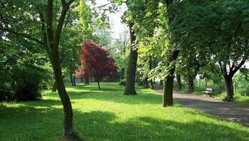 Prodej bytu 3+kk v družstevním vlastnictví 72 m², Mělník