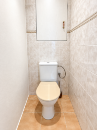 Prodej bytu 3+kk v družstevním vlastnictví 72 m², Mělník