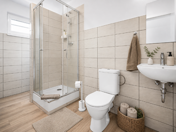Prodej domu 345 m², Přimda