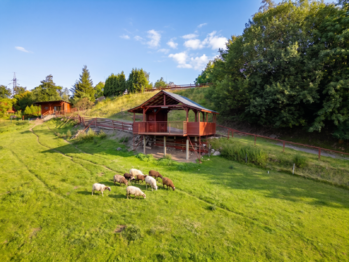 Prodej ubytovacího zařízení 500 m², Třinec