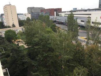 Pohled z okna - Pronájem bytu 2+kk v osobním vlastnictví 40 m², Praha 4 - Nusle
